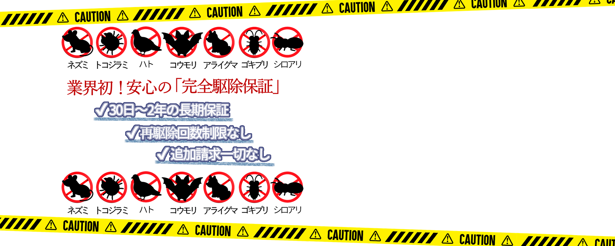 業界初!安心の完全駆除保証